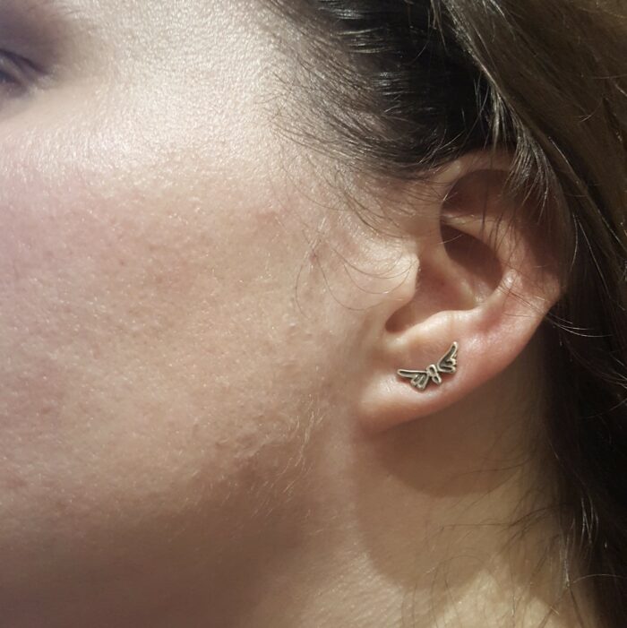 Puces d'oreilles Östra Påboda – Image 2